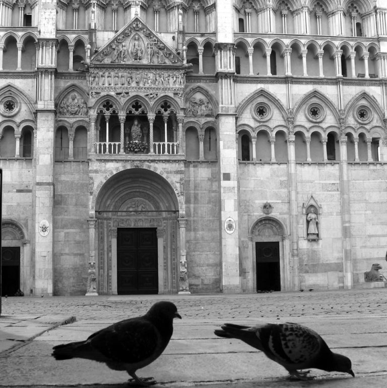 naturalmentearte-percorsi-classici-cattedrale-ferrara01