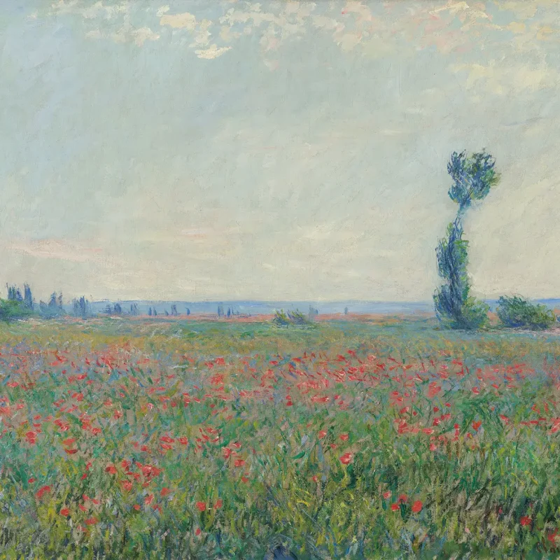 claude-monet-campo-di-papaveri